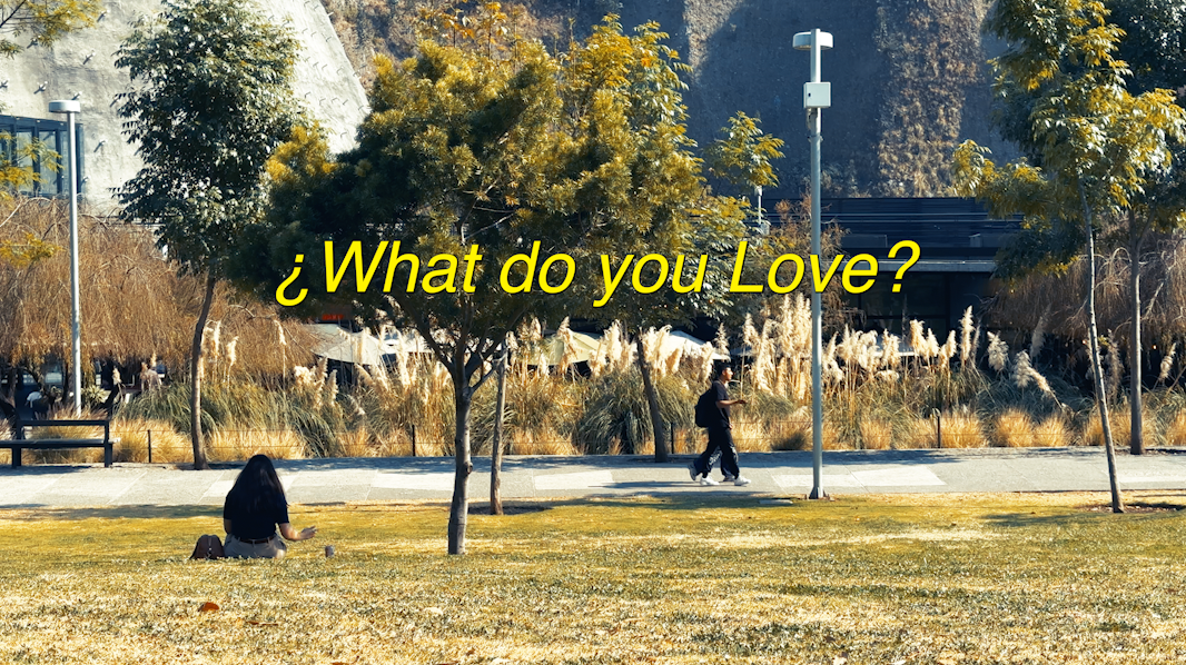 What Do You Love?