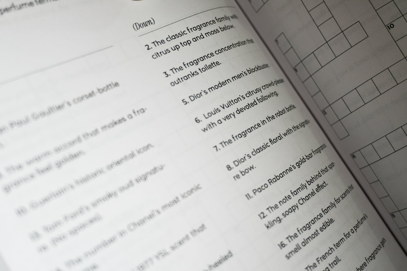 Crosswords Of Fashion