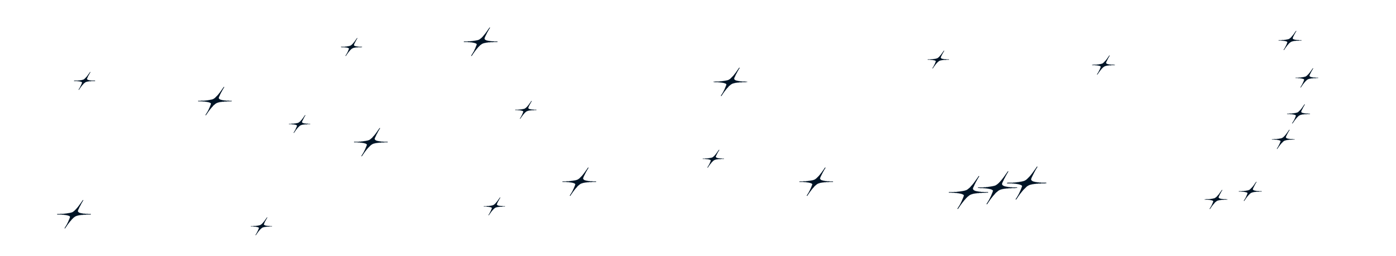 Section Divider graphic